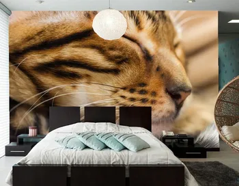 Потребителски тапети за стените, 3d, Котешка Муцуна, Мустаци за сън, Животни тапети, хол с разтегателен диван, ТВ, стена, спалня, papel de parede 1